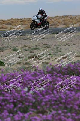 media/Jan-14-2023-SoCal Trackdays (Sat) [[497694156f]]/Turn 14 Exit Bloomig (145pm)/